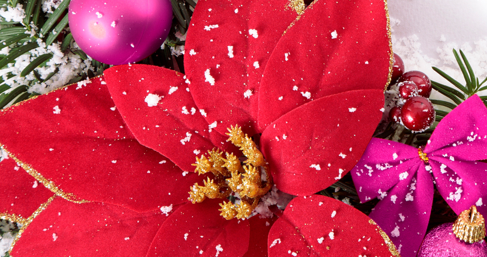 Earley Ornamentals tweet media