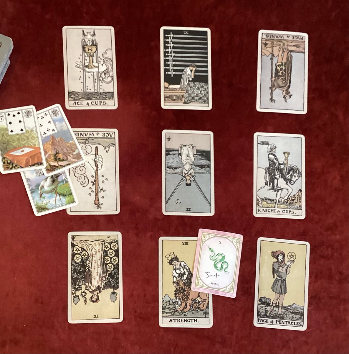 こはる@本気占い🔥タロット100枚引き/占い師独立養成講座