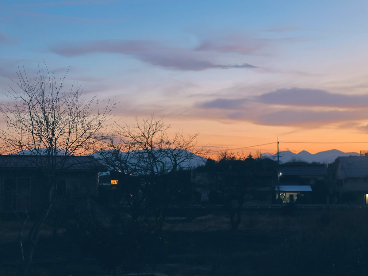 なかなか写真を撮りに行く時間がなく、自宅前から☺️
時間が取れたら写真撮りに行こう✨