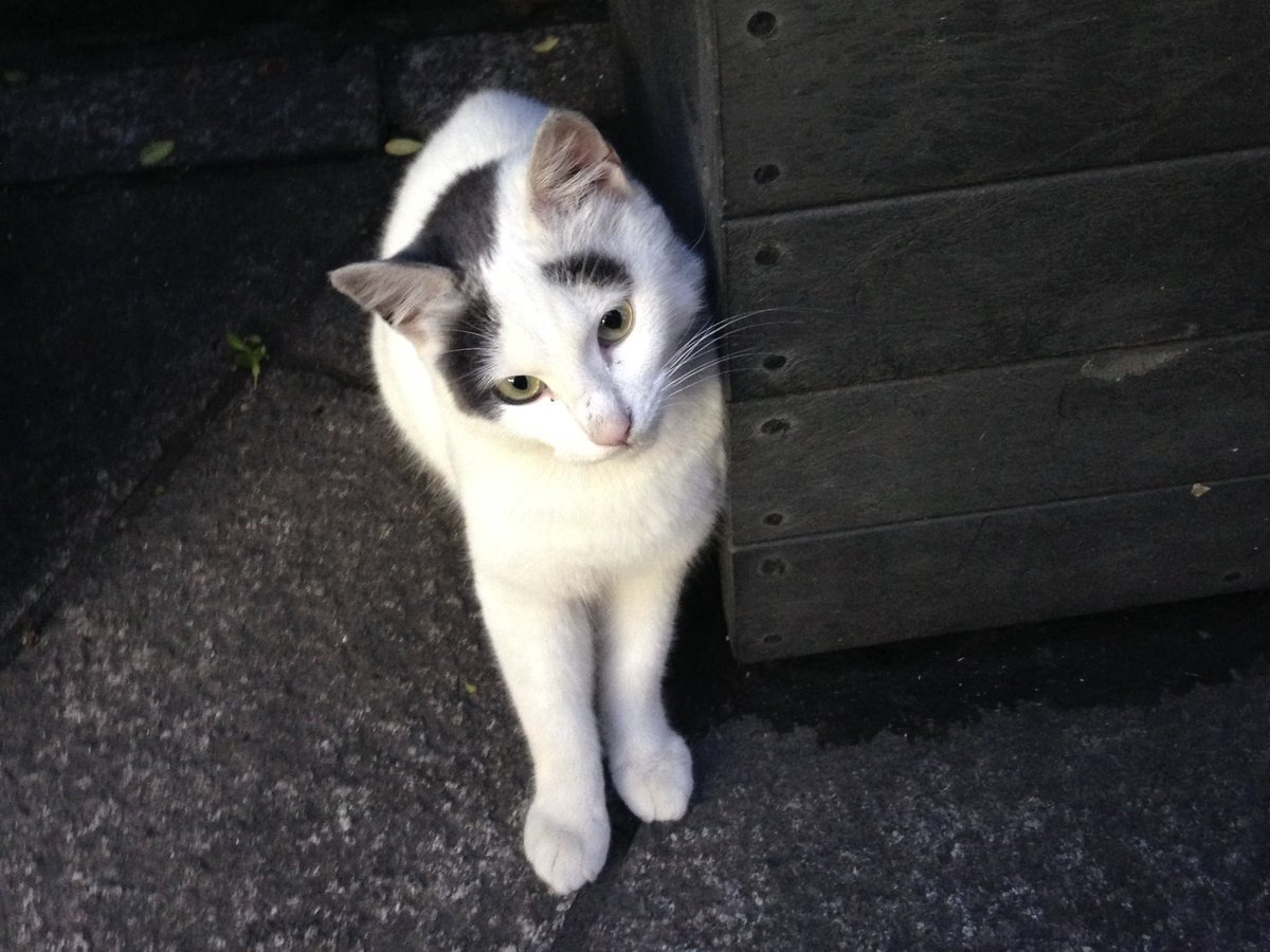 かめ (@kame__0877) / Posts / X