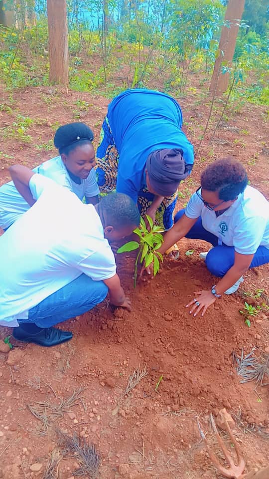 Strive for inclusion Rwanda NGO tweet media