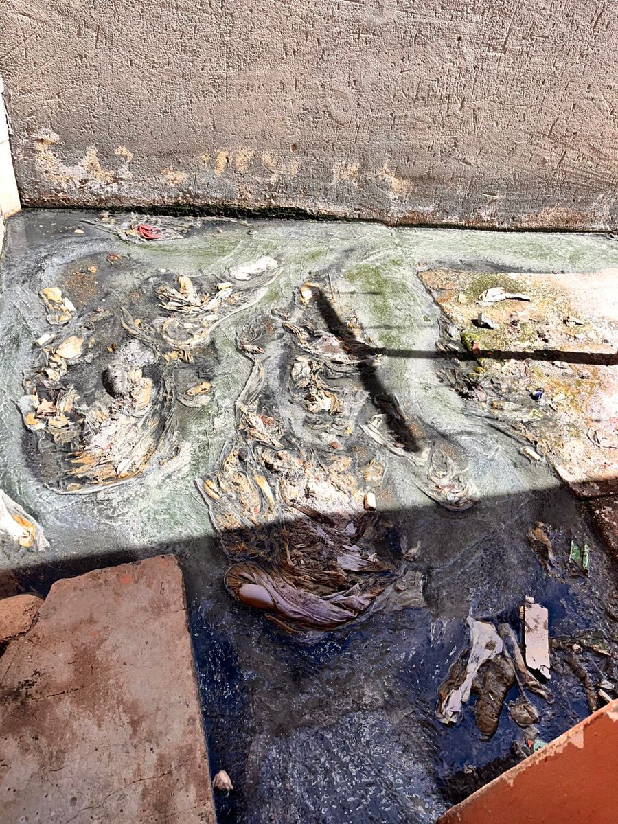 TheNEWBodyGang's tweet photo. We have been tirelessly reporting this blocked sewage system since November 2024. Please assist @CoT_Events1 @CityTshwane 

Reference Number: 6001319002

1329 Block F https://t.co/eJVhcKMGa3