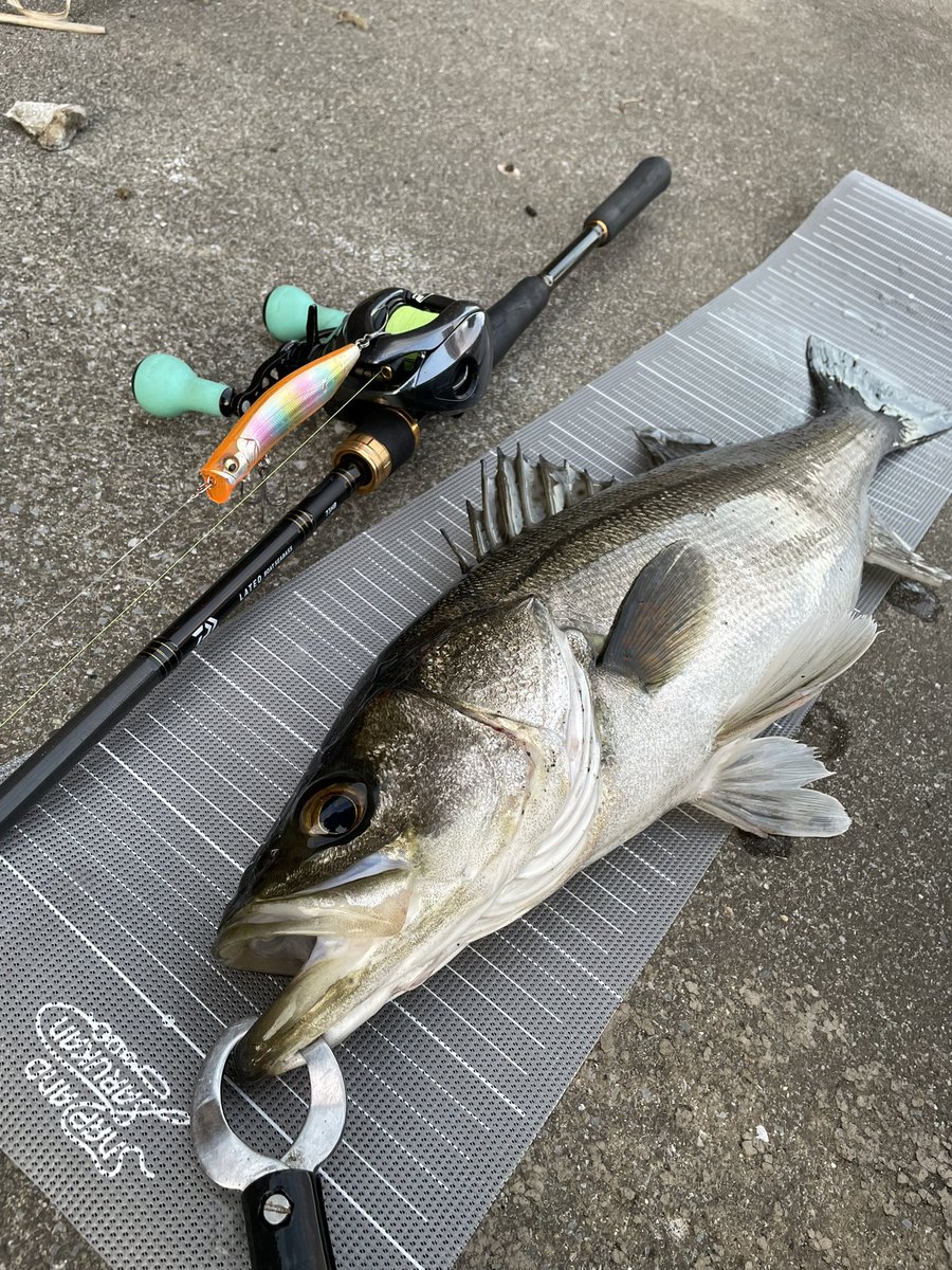 高校生アングラー RYO (@angler_ryo26) / Posts / X