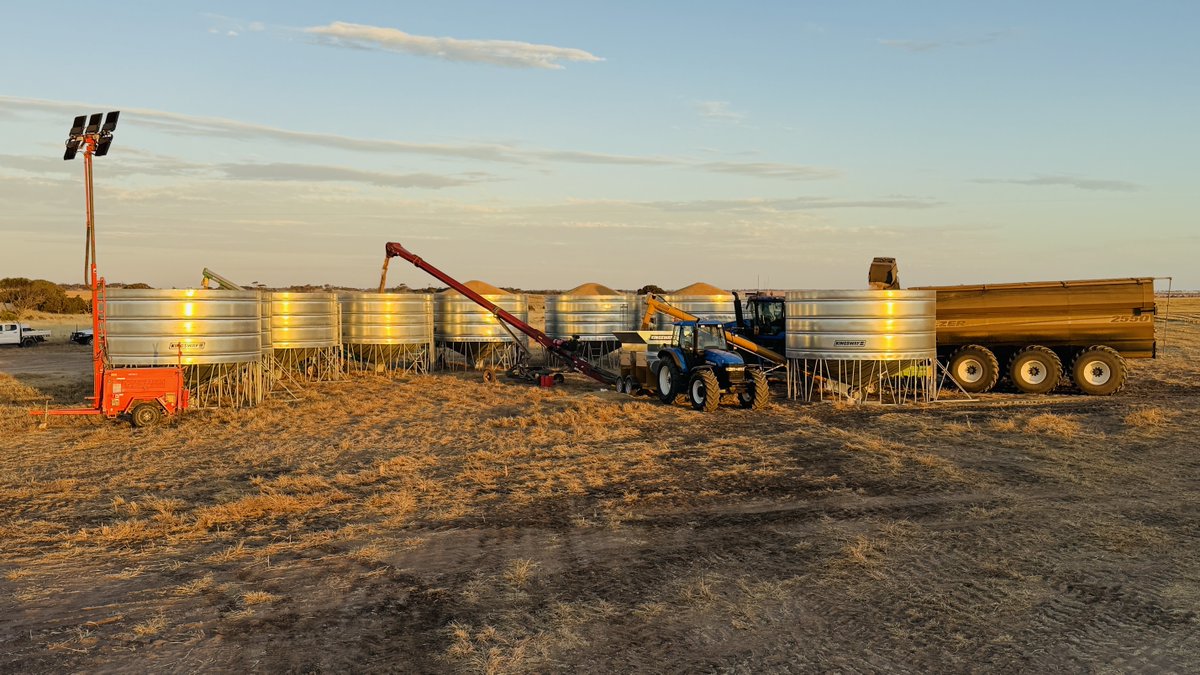 Michael Thompson tweet media