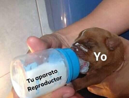 Hoy más que nunca