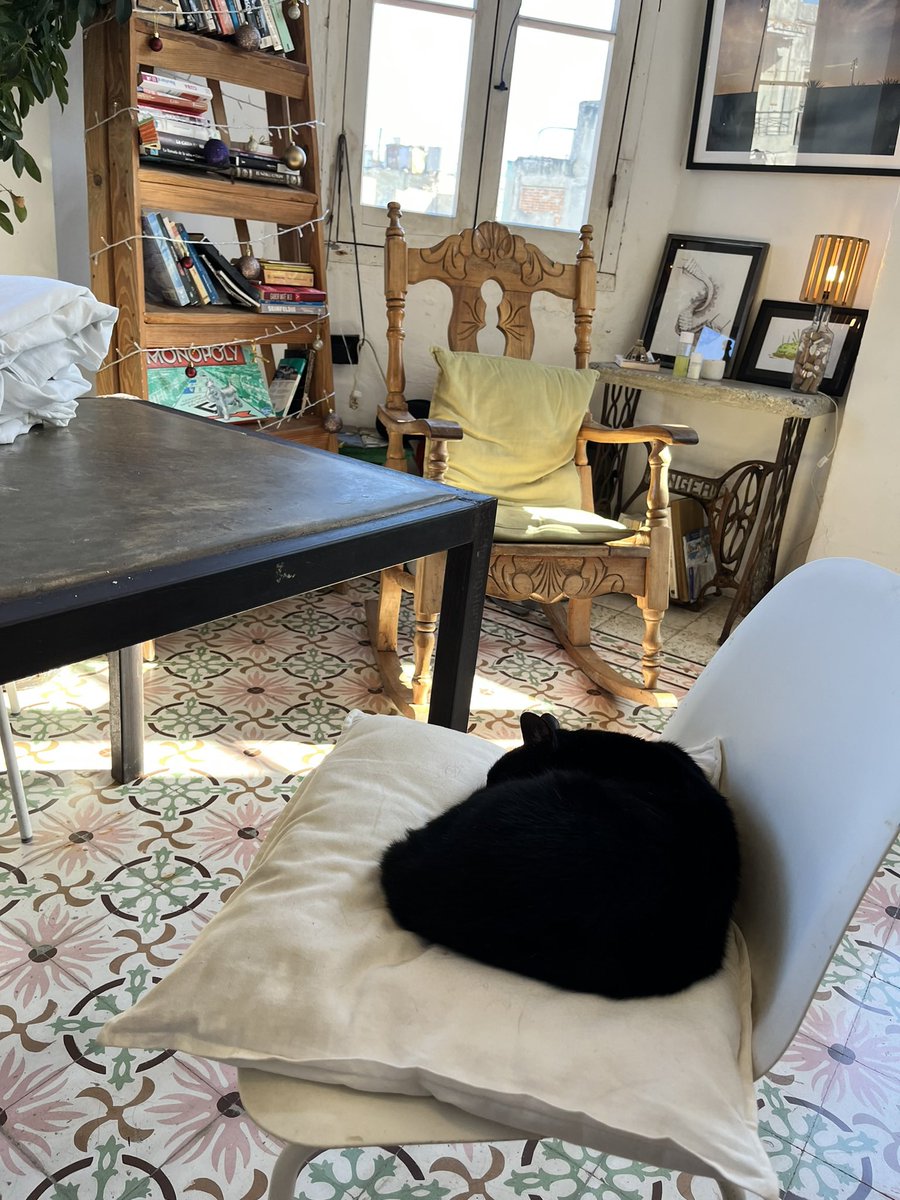 🏨キューバ（ハバナ）おすすめエアビ
可愛い室内、Wi-Fi&amp;シャワー強い、猫もアリ🐈
オーナーが超優しくて闇両替対応してくれます◎

airbnb.jp/rooms/71148179…