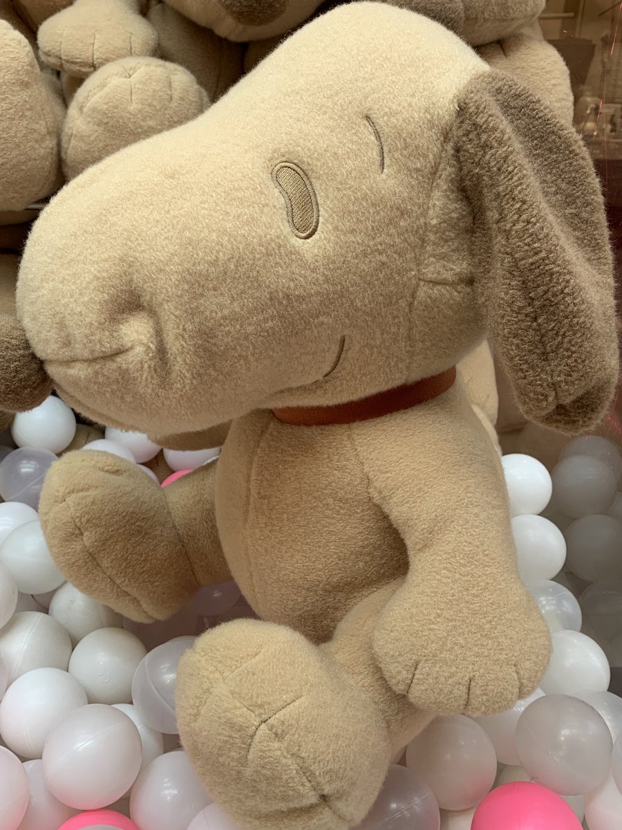 🆕景品入荷情報🆙 本日、当店に 「 #SNOOPY スーパーラージぬいぐるみ