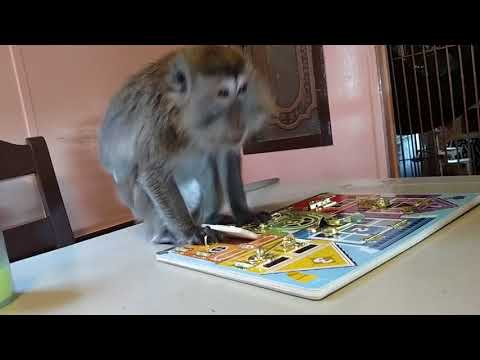 Played Pragmata Demo and felt like this. Definitely buying