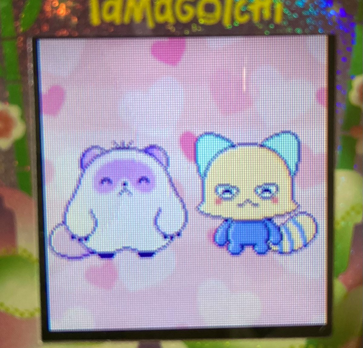 たまパラをゆるゆる楽しんでる。二代目ちゃんかわいくて育てやすくて