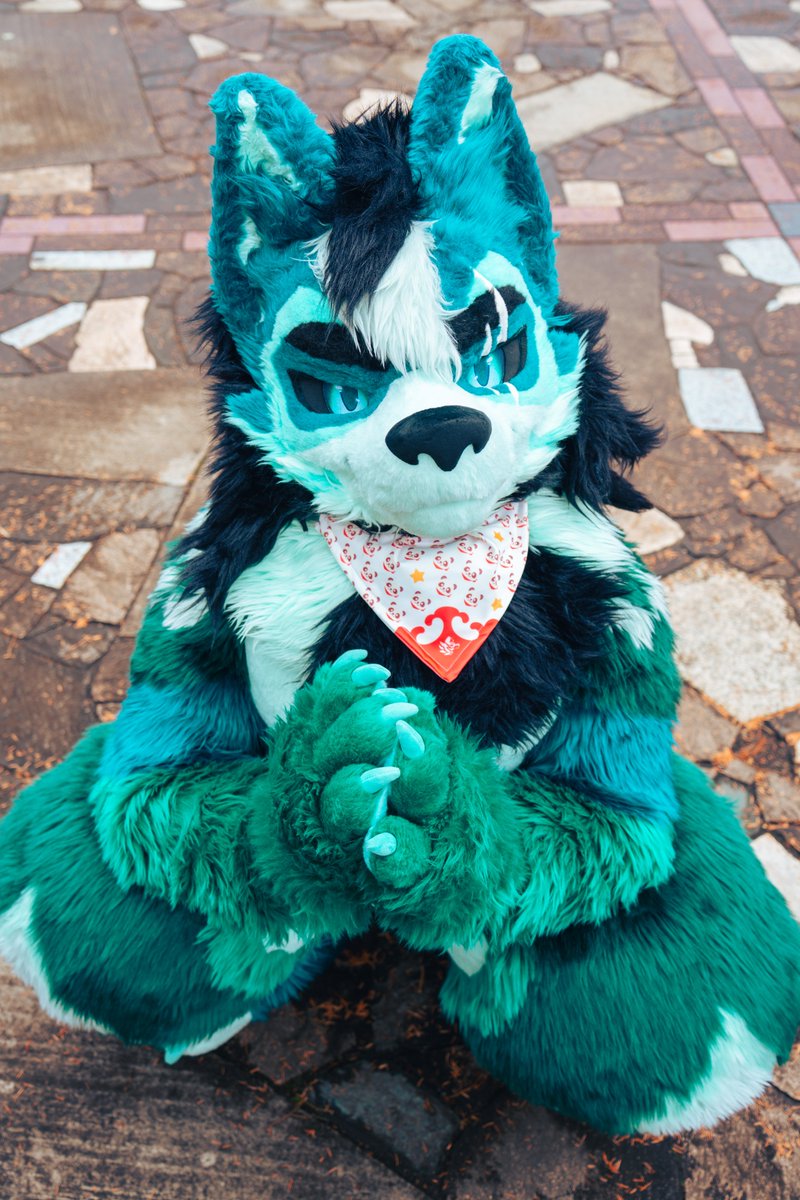 Furmony様から頂いた中国限定のパンダ布巾を着けてみた🐼
#ケモノフォーカス　#FursuitFriday