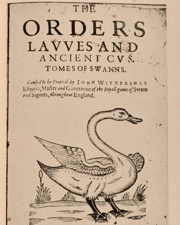 Universal Short Title Catalogue (USTC) 📖🔍 tweet media