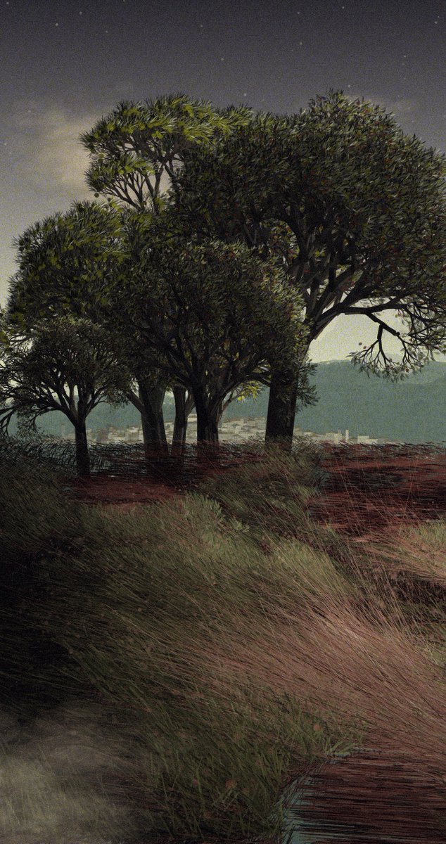 Qotonana tweet media