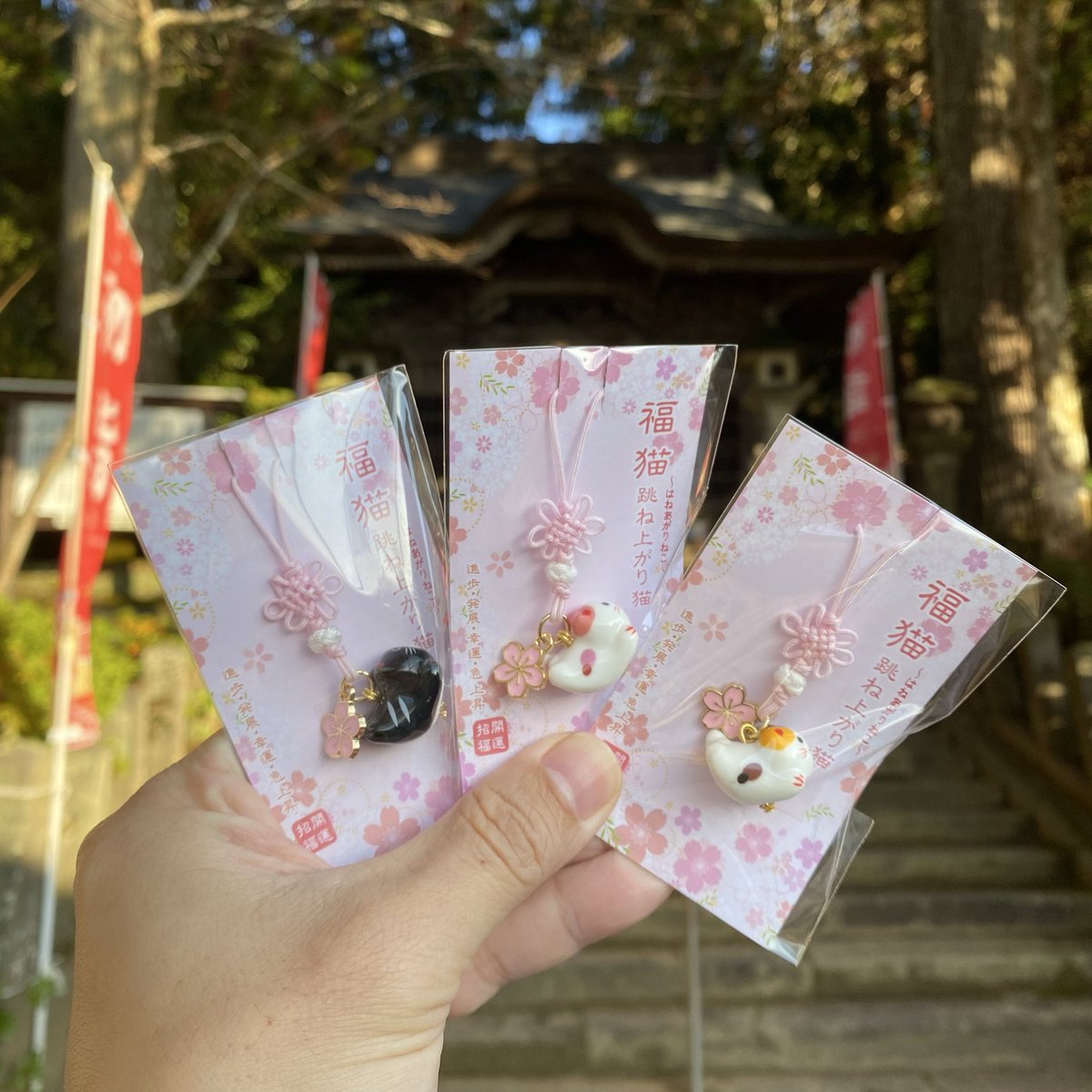 新しく開運招福の御守りを頒布します🐈

運が跳ね上がることを願った
『跳ね上がり猫のお守り』🐈です。

頒布開始　令和7年12月20日（土）

【郵送をご希望の方】令和7年12月23日(月)より
※彦嶽宮オンライン授与所をご利用ください。
hikotakegu.stores.jp

#彦嶽宮　#猫御守り　#熊本県山鹿市