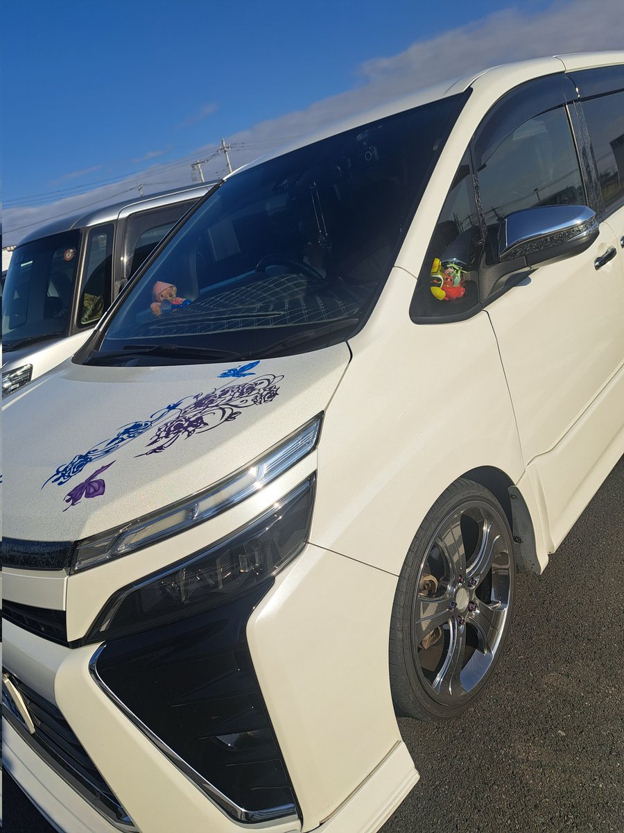 DACchiensoFD's tweet photo. 5日間、お世話になりました☺️
無事に退院できました❗
手術してからの退院は、早かったぁ～🎵
もちろんVOXY が迎えに来てくれました✨ https://t.co/qadN5s7CGy