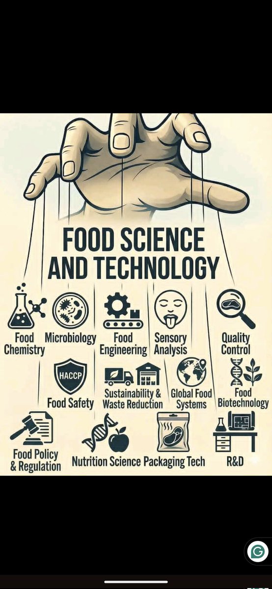 Javan_rw's tweet image. Food Science &amp;amp; Technology: where chemistry meets creativity, safety meets innovation, and science feeds the world 🌍🍽️
From microbiology to sustainability—this is the backbone of modern food systems.
#FoodScience #FoodTechnology #Innovation #foodsafety