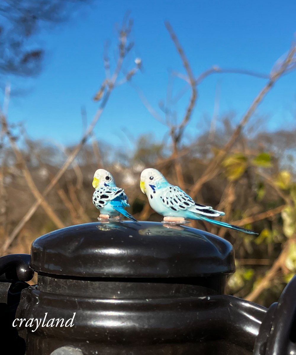 セミオーダーのセキセイインコちゃんが完成したので、久しぶりに外撮影して見ました。とても天気が良くて、青空に映えるノーマルブルーのインコちゃんです。

#クレイアート #粘土細工  #ハンドメイド
#セキセイインコ　
minne.com/@nipring10
creema.jp/c/ysuna