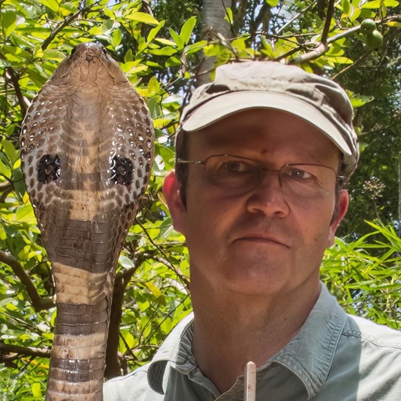 grcvenom's tweet image. Speaking in our "Biology, Ecology, and Systematics of Venomous Organisms" session at #GRCVenom26 is Wolfgang Wüster, a Professor at @BangorUni, North Wales, UK.