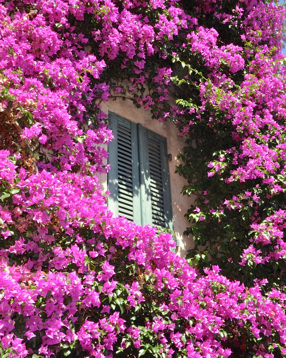 Les Plus Beaux Villages de France tweet media