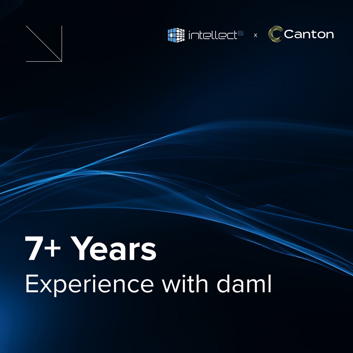 IntellectEU tweet media