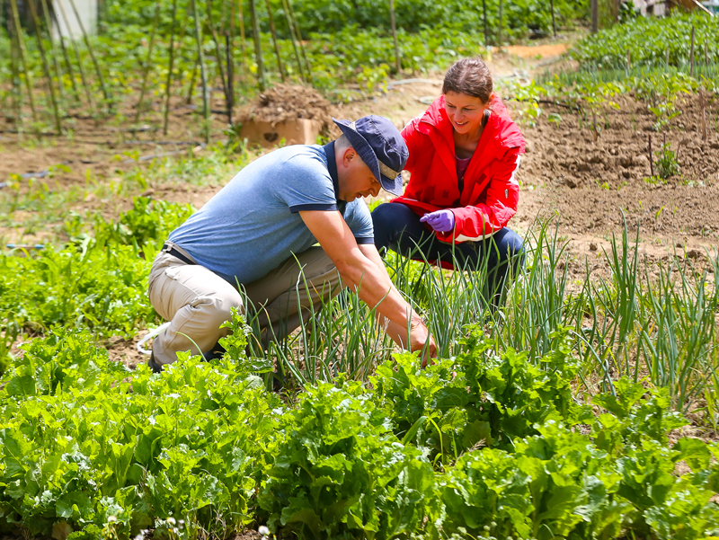 RedCrossEU tweet media