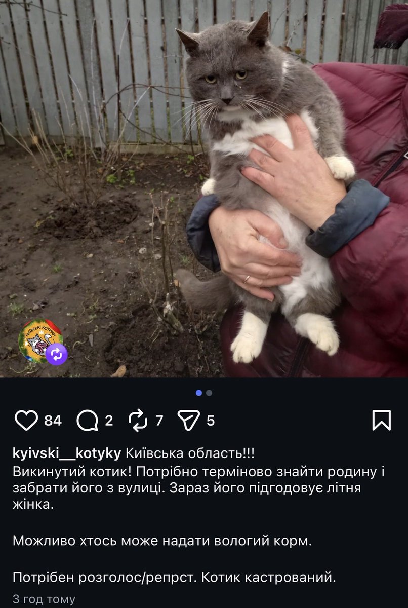 null0set's tweet image. Судячи з погляду, кіт точно для когось з твітерських