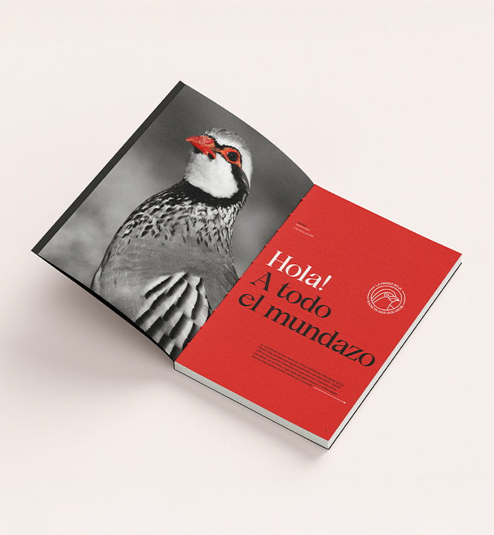 LPRmagazine's tweet image. Bueno, ahora sí!
La Perdiz Roja existe, es una realidad física, podéis comprar y leer en papel después de 5 años deseandolo muchísimo, nuestros artículos y andanzas existen más allá de la pantalla!! 😭✨♥️📕