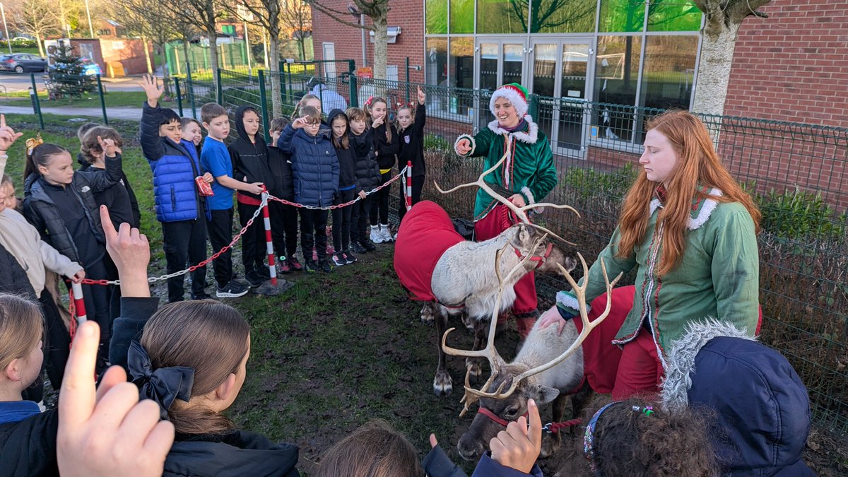 Pine Tree Class tweet media