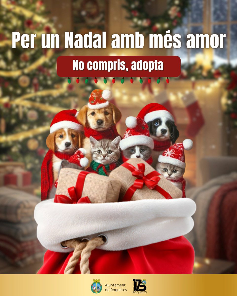 🎁 𝑈𝑁 𝑅𝐸𝐺𝐴𝐿 𝐵𝐸𝑁 𝐸𝑆𝑃𝐸𝐶𝐼𝐴𝐿 🎄

Perquè ells també mereixen l'escalfor d’una llar. 🕯️🏡

𝗣𝗲𝗿 𝘂𝗻 𝗡𝗮𝗱𝗮𝗹 𝗮𝗺𝗯 𝗺𝗲́𝘀 𝗮𝗺𝗼𝗿, 🐾❤️
𝐍𝐎 𝐂𝐎𝐌𝐏𝐑𝐈𝐒, 𝐀𝐃𝐎𝐏𝐓𝐀.
🐶😺

#LaMàgiadelNadaldeRoquetes ✨
#Nadal2025