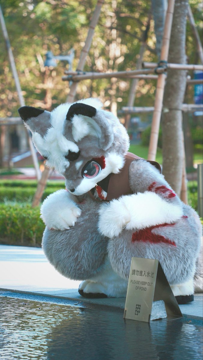 水面也有一隻狼狼！
真的不行下水玩嗎～

📷 AA
#FursuitFriday