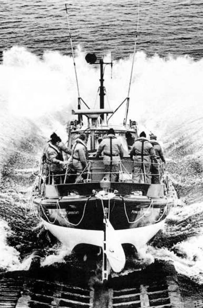 The Lizard Lifeboat tweet media