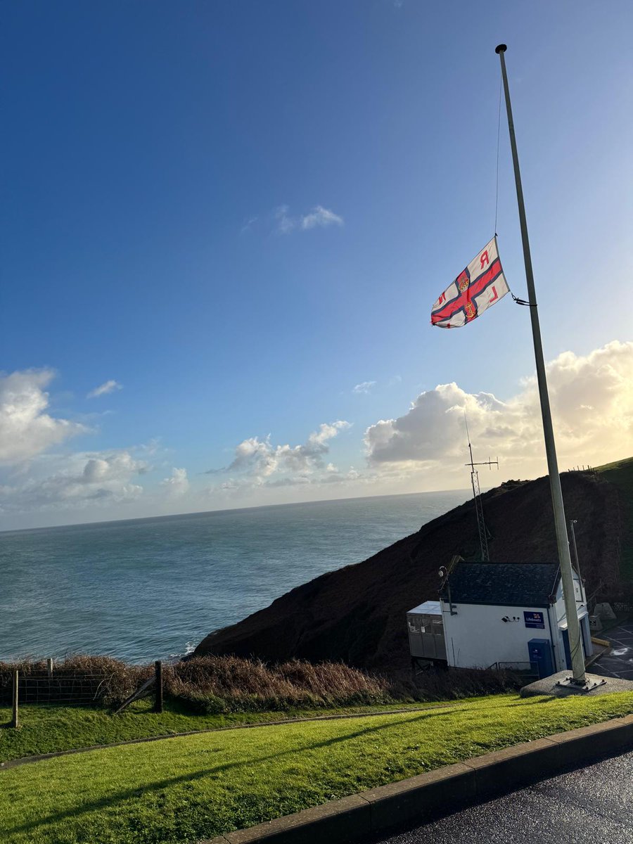 The Lizard Lifeboat tweet media