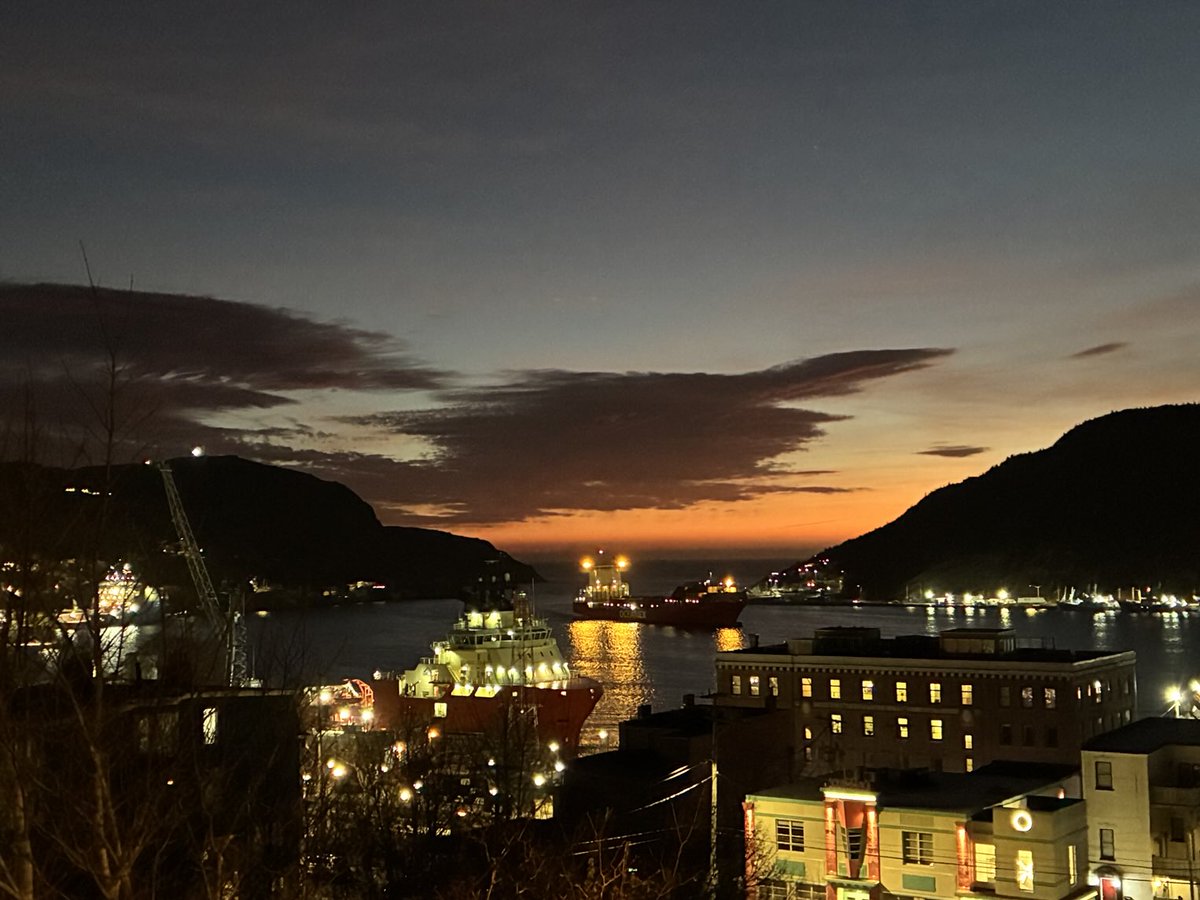 Francesca Swann tweet media