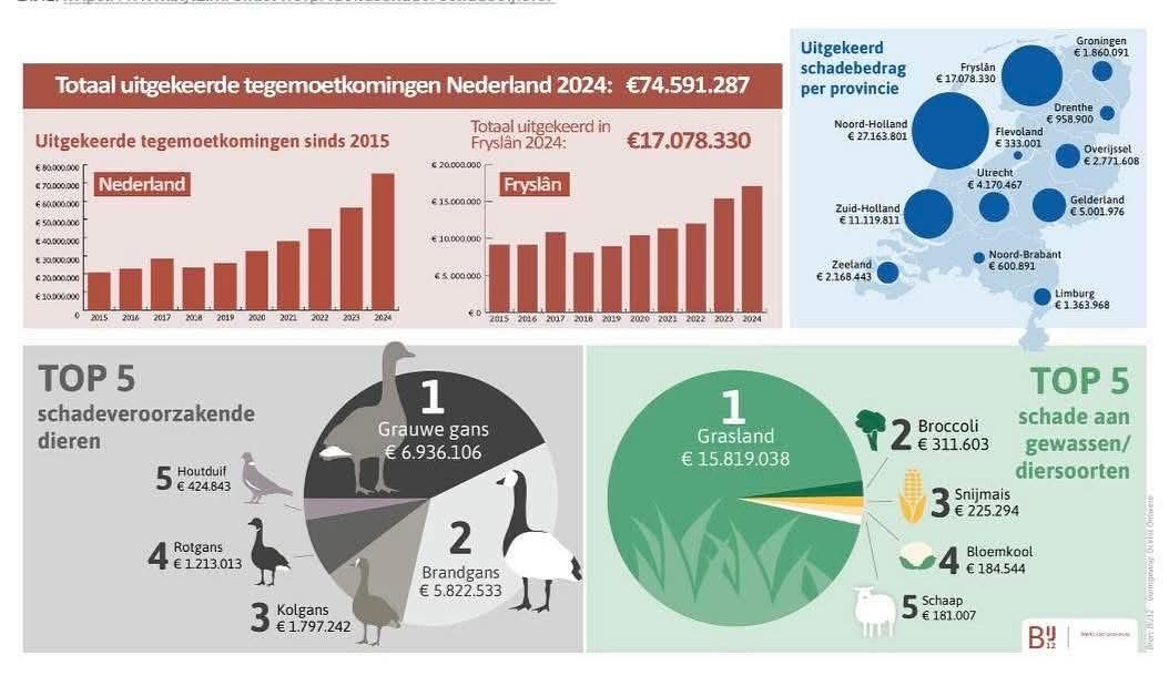 Wiebe talpallie 👨‍🚒🔥🚒 tweet media