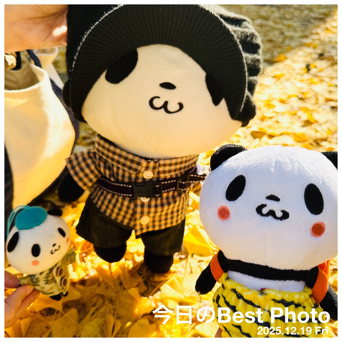 wing952's tweet image. 御朱印おパン・小パンダ、御朱印パンダフル夫婦と共に神社巡りにゆく⛩️(*´∀`)♪

歴史と自然のパワースポットとして人気の
『雷(いかづち)神社』へ参拝に行きました☆

今回はパンダフルコレクションの雷(いかづち)おパンも一緒です♫

山の中に鎮座してあり道中、車🚙の運転が大変でした😅

#雷神社