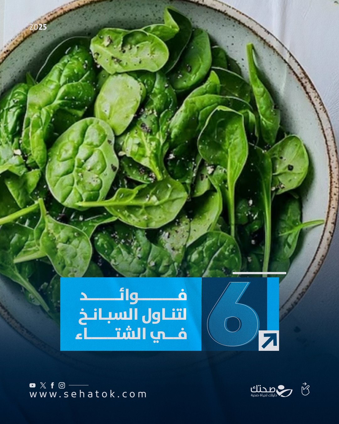 السبانخ ليست مجرد خضار شتوية! اكتشف 6 فوائد تجعلها اختيارك الأول للصحة والدفء هذا الشتاء. هل تضيفها إلى نظامك الغذائي؟ 