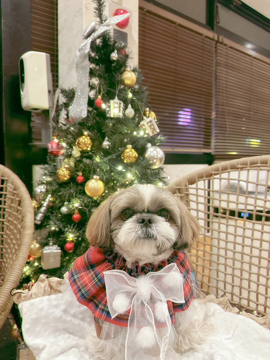 chris4989 (@chris49891) / Posts / X