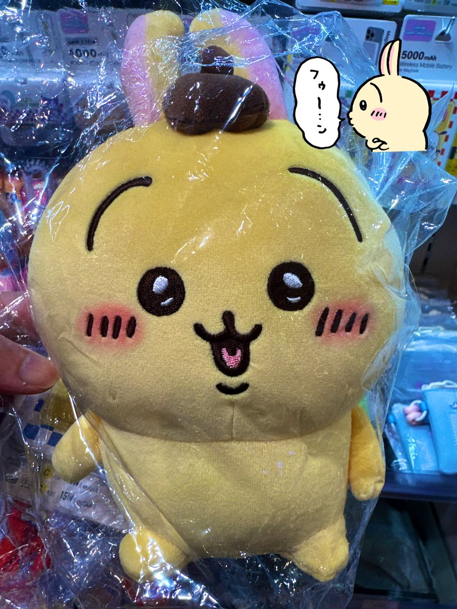 やすおページ やすお🐰 (@the_Chuo_Line) / Posts / X