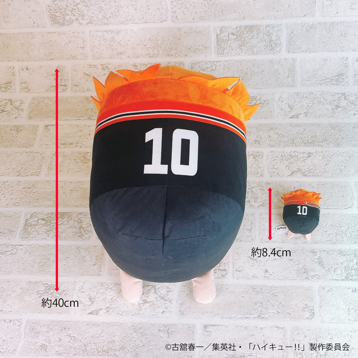 2026.Spring－ ◤ ◥ ジロリたわらっこ。 BIG ◣ ◢ #ジャンプフェスタ