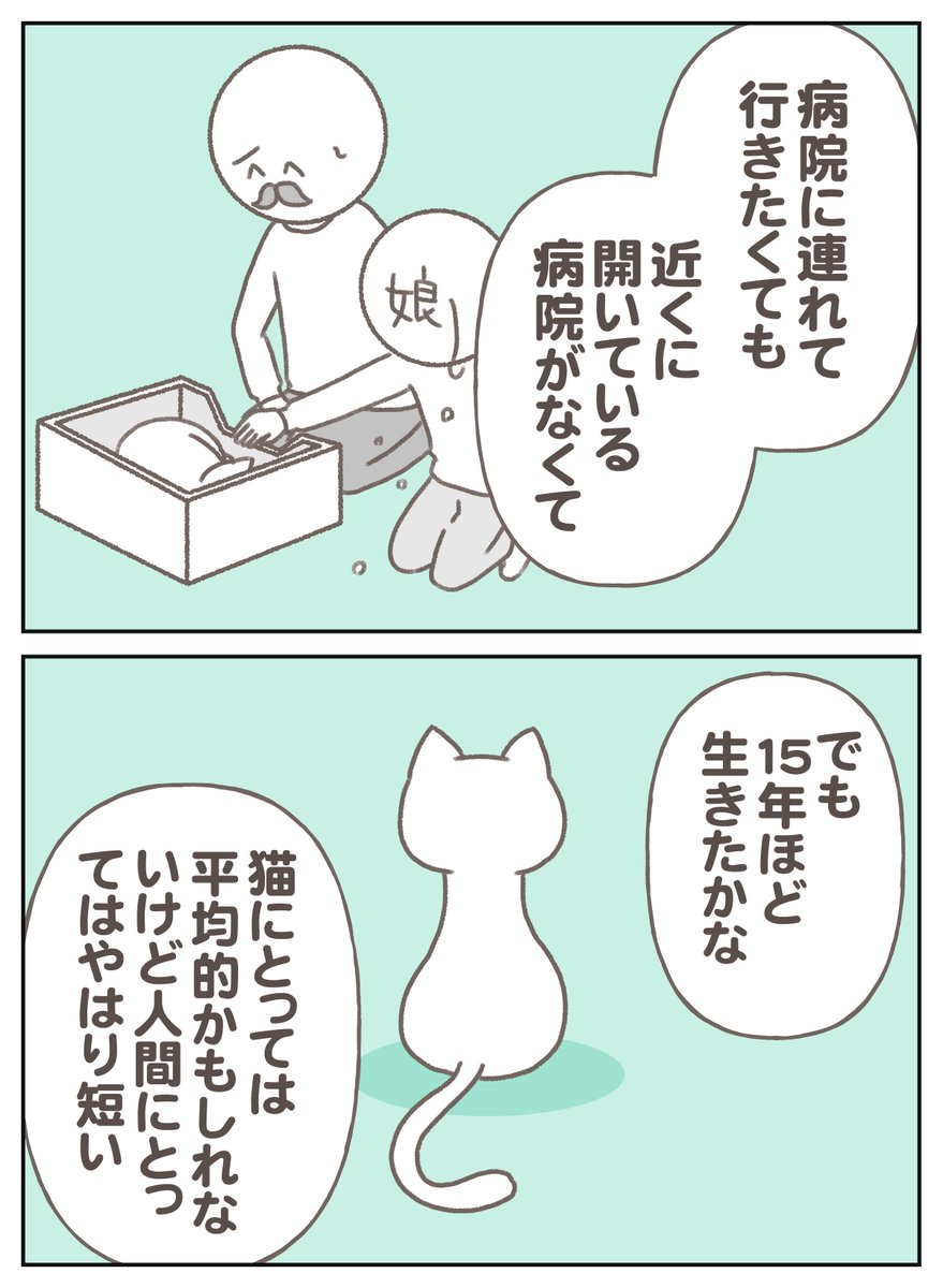 猫の寿命は、人よりずっと短い… 