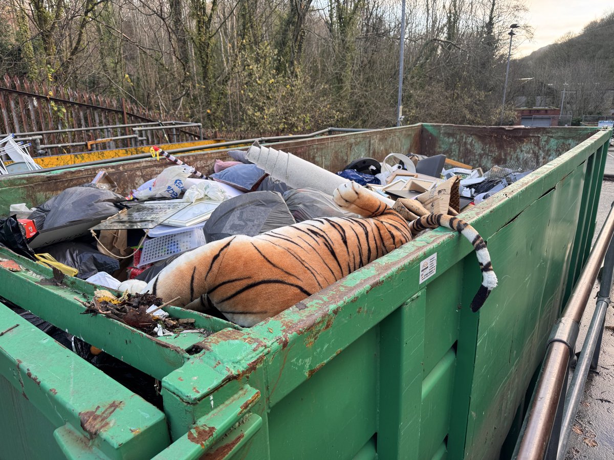 The Tiger Who Came t’Tip…