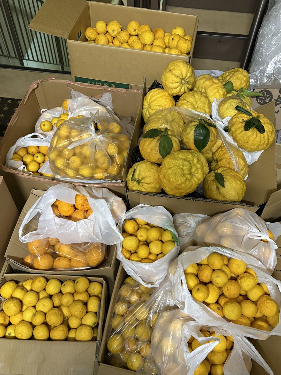 柚子譲って下さい 沢山集まっております #ゆず ゆずってください。は