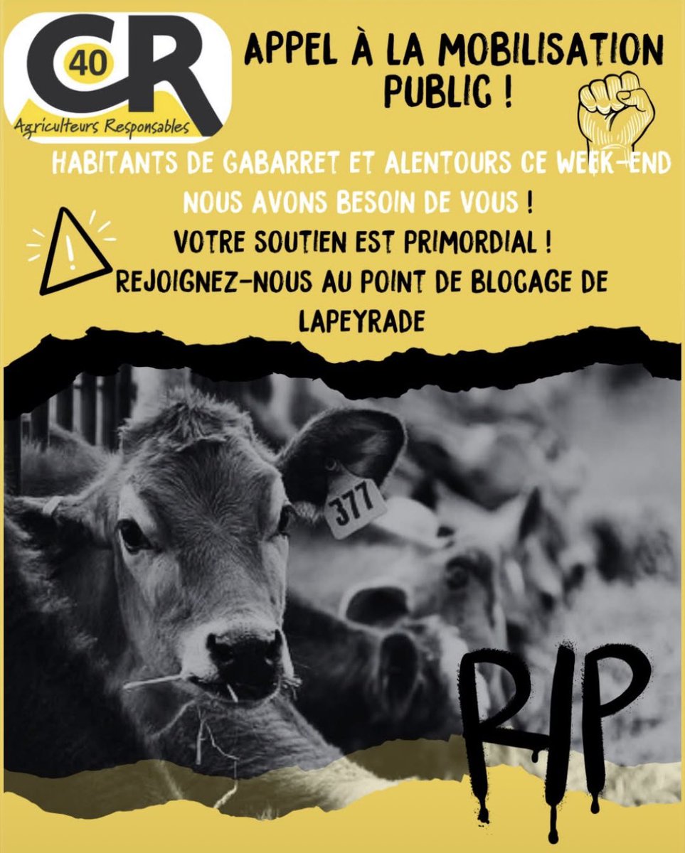 🔴⚠️ DEMANDE DE RENFORTS DANS LES LANDES !

Les collègues agriculteurs de la CR40 appellent la population à les rejoindre ce week-end sur le blocage de Lapeyrade près de Gabarret.