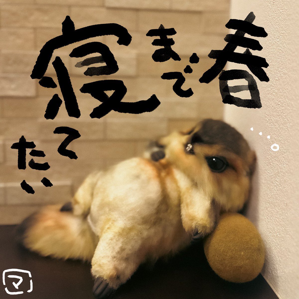 Teritre Doll/テリトルドール (@teritre_doll) / Posts / X