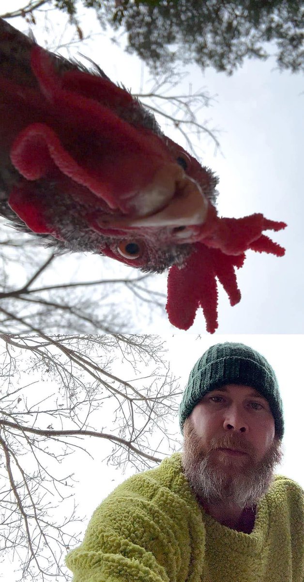 MaxPolor2796's tweet image. 