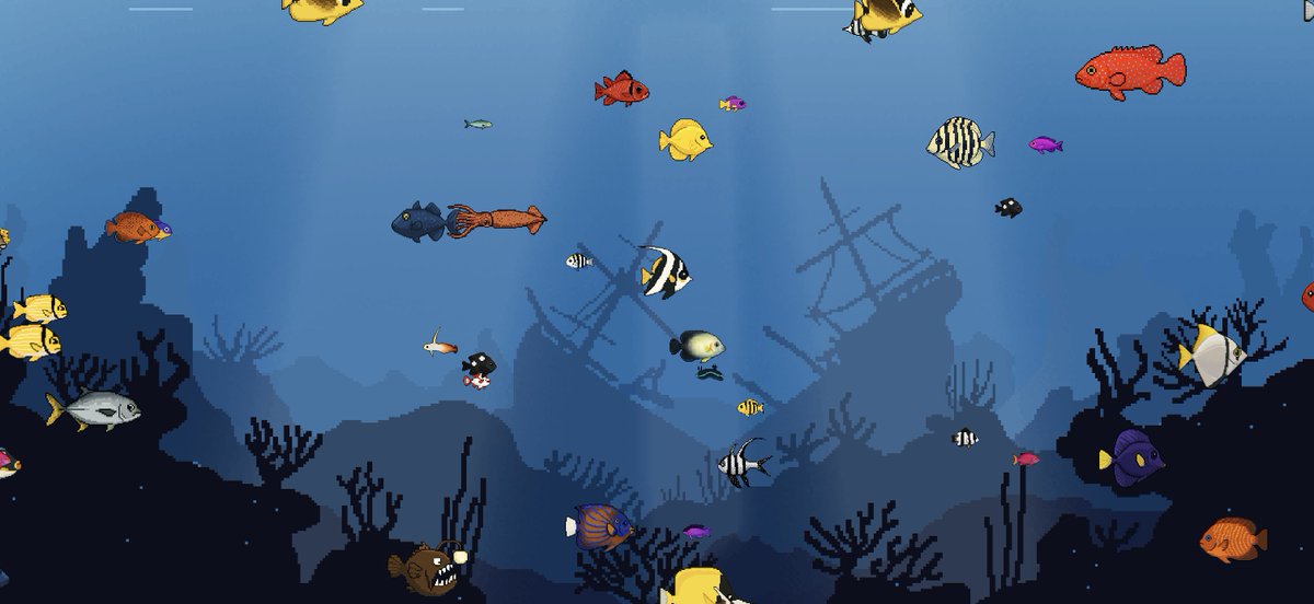 DiverS tweet media