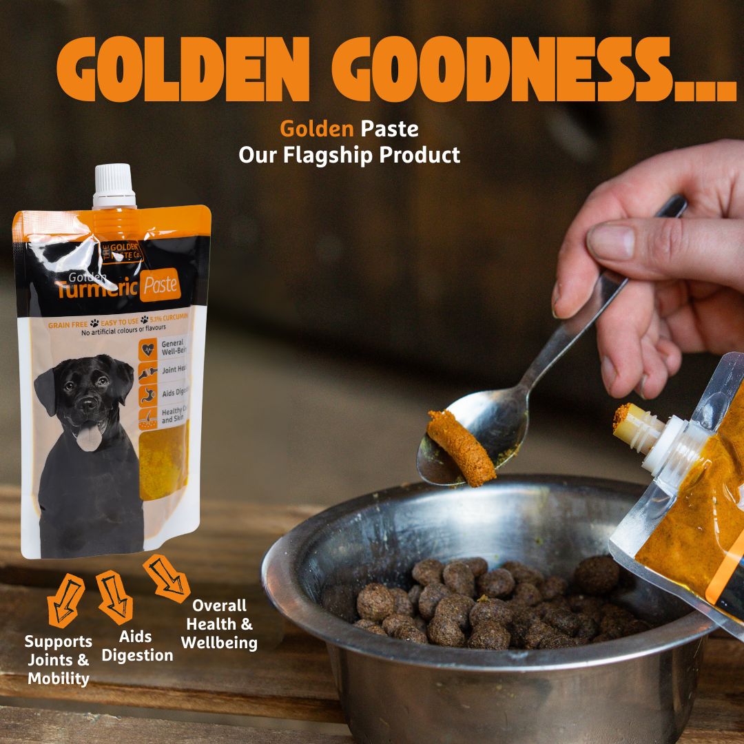 The GoldenPasteCompany tweet media