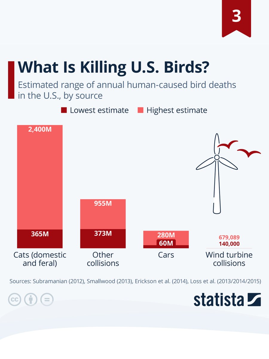 📟STATISTA: "Il Futuro dell'Energia Eolica Offshore negli Stati Uniti: Resistenze Politiche e Impatti Ambientali"