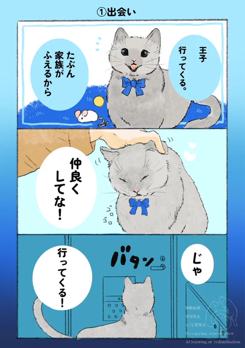 もしも今夜出会ったら?🐾❄️
(1/2) 