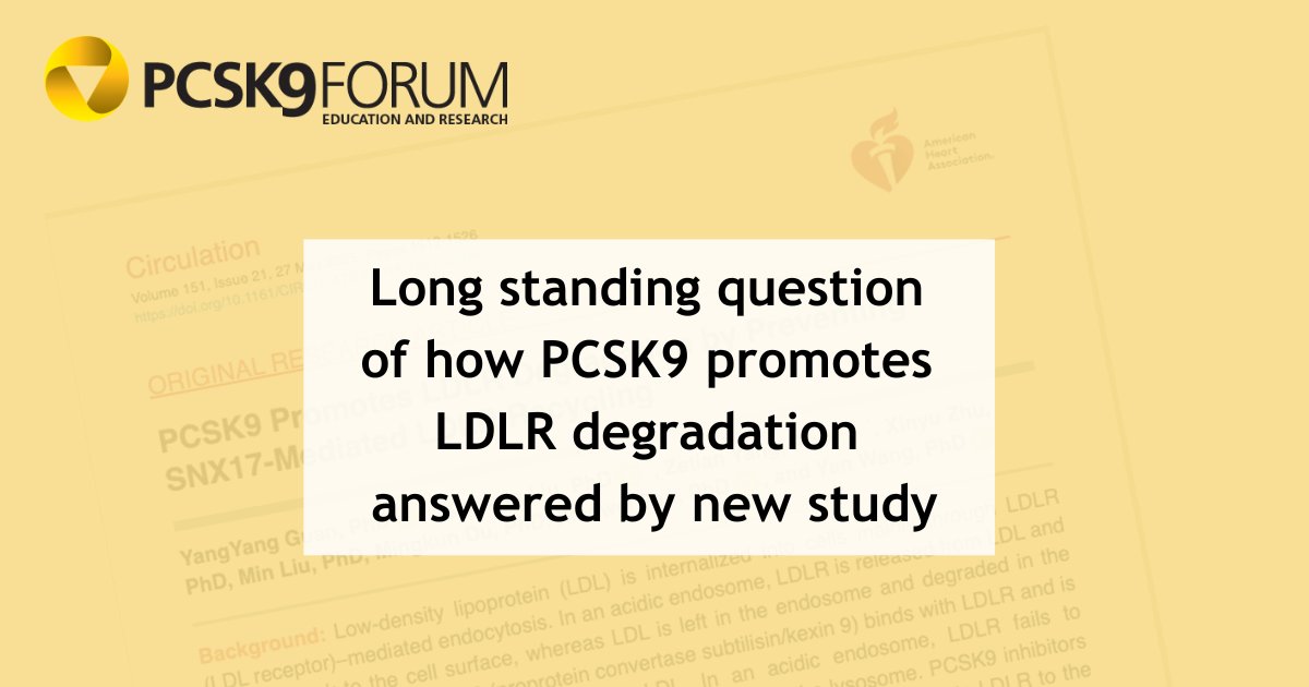 PCSK9Forum's tweet image. “Long-standing question” of how #PCSK9 promotes the degradation of the low-density lipoprotein receptor (#LDLR), and so prevents it removing circulating cholesterol, answered by new study. Find out more on @PCSK9Forum &amp;gt;&amp;gt; pcsk9forum.org/study-sheds-li… 

#FH #lipids @CircAHA @WHU_1893