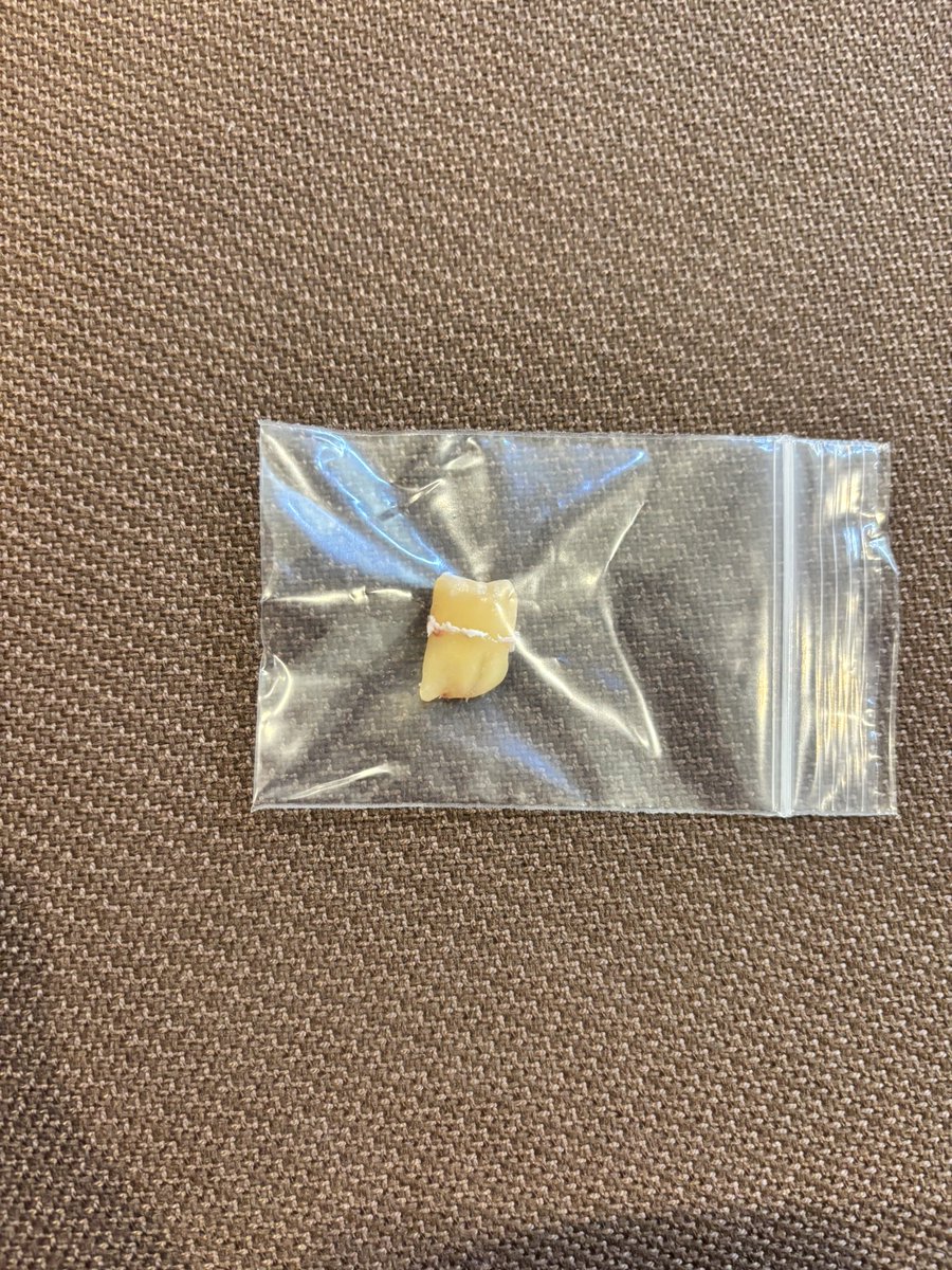 ありんこ tweet media